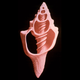 Image for article titled This awesome image may be found by aliens one day, floating in space